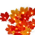 thumbnail image 2 of 8PCS LED Light String Halloween Yard Decoration Lamp Thanksgiving Party Lighting  40 LED  6m  Flash  Pumpkin, 2 of 7