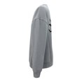thumbnail image 3 of Sudadera Batman Talla 16 EG Sustentable Cuello Redondo Diseño Logo Gris, 3 of 4
