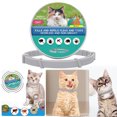 thumbnail image 1 of Collar Antipulgas Collar Antipulgas Y Garrapatas Y Ajustable para Gatos (gato en Caja 38 Cm), 1 of 9