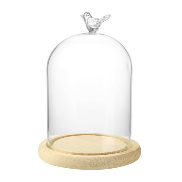 Sterkte code Ter ere van Immortal Flower Glass Cover,Glass Bell Jar with Natural Wood Base - 7" Glass  Dome - Clear Glass Centerpiece Display Case - Wood Base Glass Bell Jar for  Lights, Centerpieces and Antiques - Walmart.com