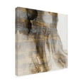 thumbnail image 2 of Trademark Fine Art 'Surface I' Canvas Art by Sisa Jasper, 2 of 3