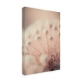 thumbnail image 2 of Canvas Wall Art - Treechild 'Tiny Crystals' Wall Art for Living Room, Bedroom, or Office D?cor by Trademark Fine Art - 12 x 19 Inches, 2 of 4