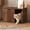 Columbia Walnut, variant on HOMLUX Cat Litter Box Enclosure, Hidden Pet House Furniture, Multifunctional End Table for Cats, Storage for Litter Accessories, 40 lbs Capacity, Black