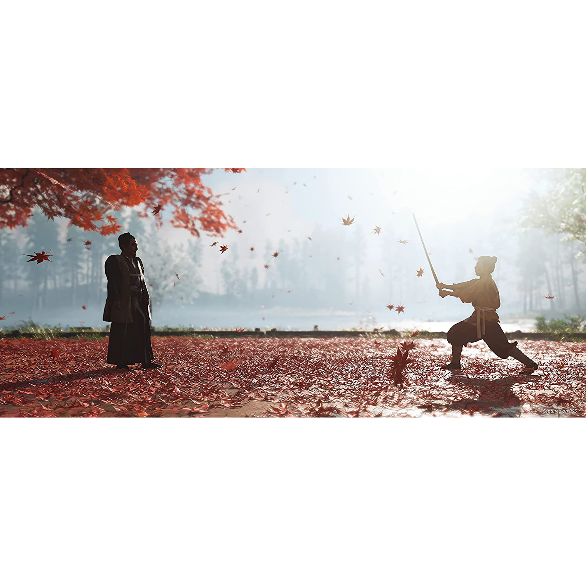 Ghost of Tsushima: Director's Cut - PlayStation 5 2