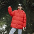 thumbnail image 3 of Chaqueta de invierno unisex 2024, parkas cálidas para hombre y mujer, abrigo grueso y cálido para hombre, cuello alto, color sólido, parka informal, ropa de calle de moda, 3 of 5
