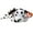 White, variant on TY Beanie Baby - DOTTY II the Dalmatian Dog (8 inch) (2023 Release)