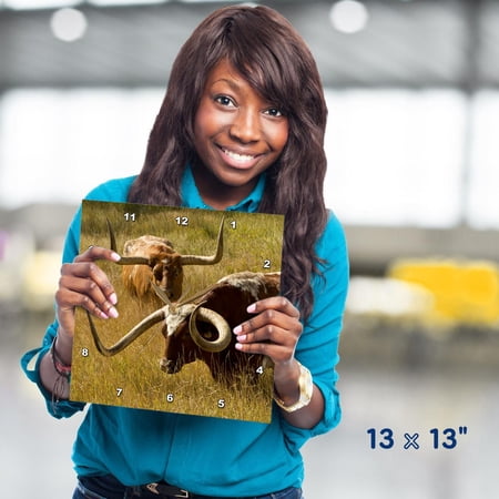 3dRose, Texas Longhorn, Custer, South Dakota, Usa, 13x13 Wall Clock