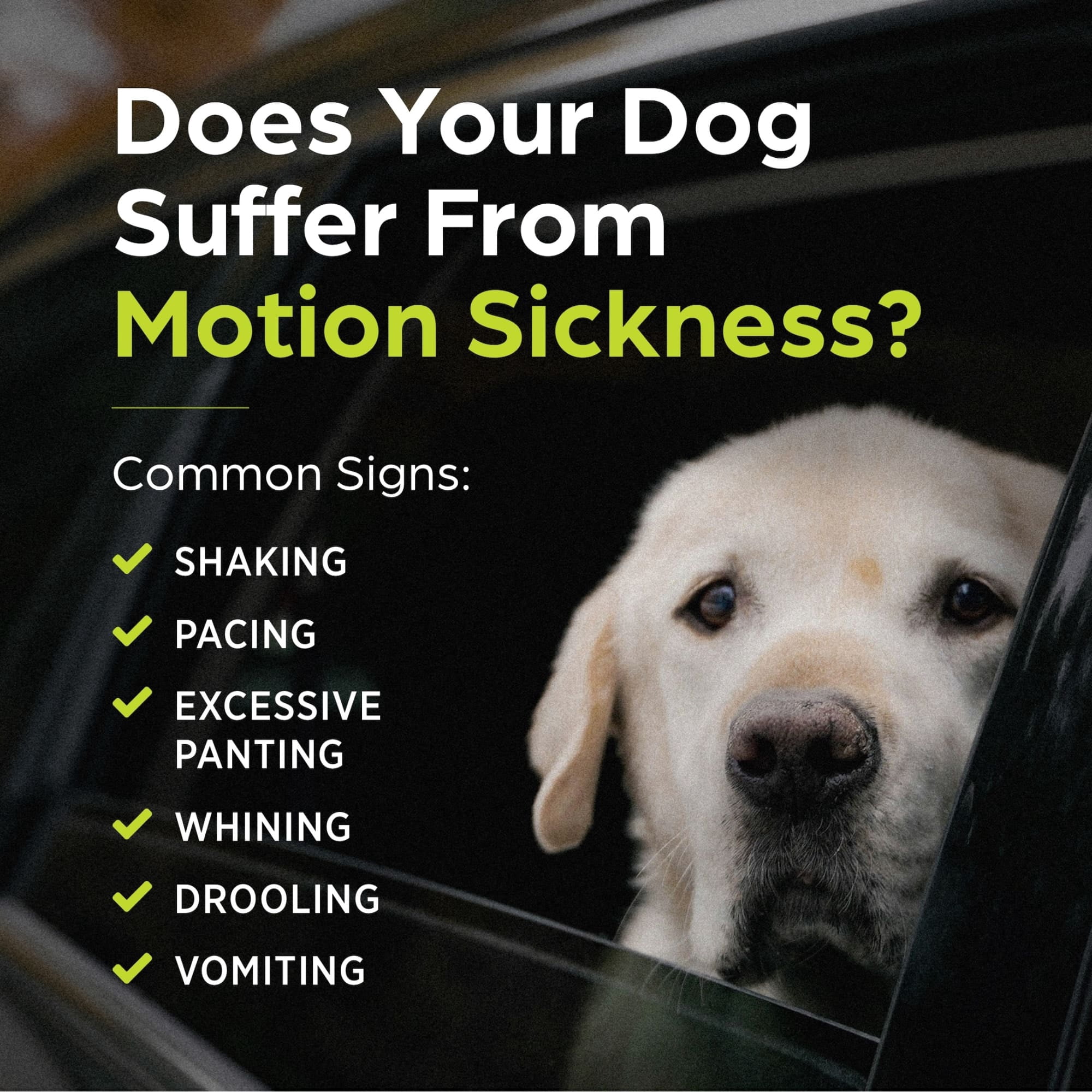 Cerenia (Maropitant Citrate) for Dogs, 16 mg (Green Box), Motion Sickness Relief for Dogs