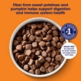 thumbnail image 4 of Nature's Recipe Grain Free Chicken, Sweet Potato & Pumpkin Dry Dog Food, 4 lb Bag, 4 of 12
