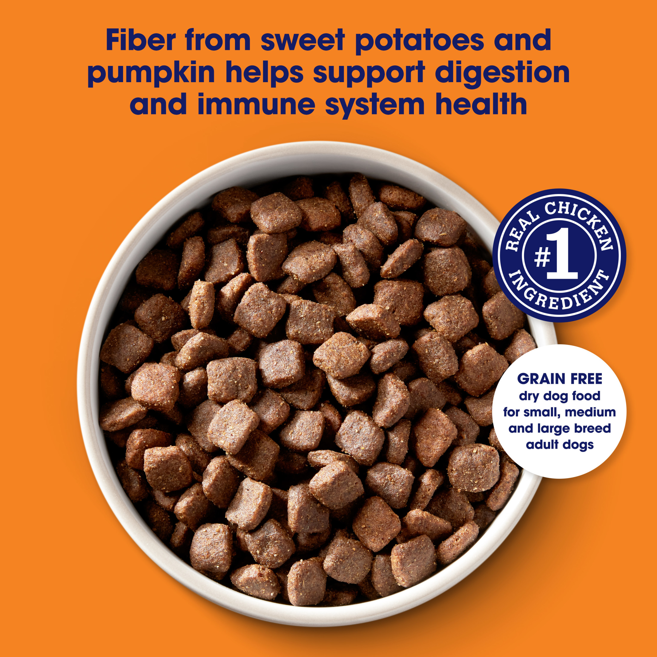 Nature's Recipe Grain Free Chicken, Sweet Potato & Pumpkin photo 3