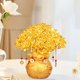 thumbnail image 4 of Feng Shui chino árbol del dinero bonsái decoración adornos amarillo cristal árbol para dormitorio, escritorio, tienda de Pequeña DYNWAVEMX Estatua del árbol de la suerte, 4 of 8