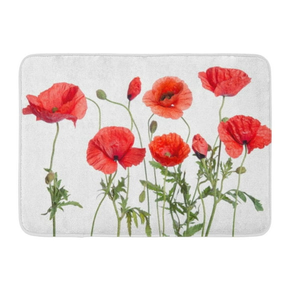 JSDART Green Beautiful Red Poppies Beauty Bloom Blossom Box Bud Doormat Floor Rug Bath Mat 23.6x15.7 inch