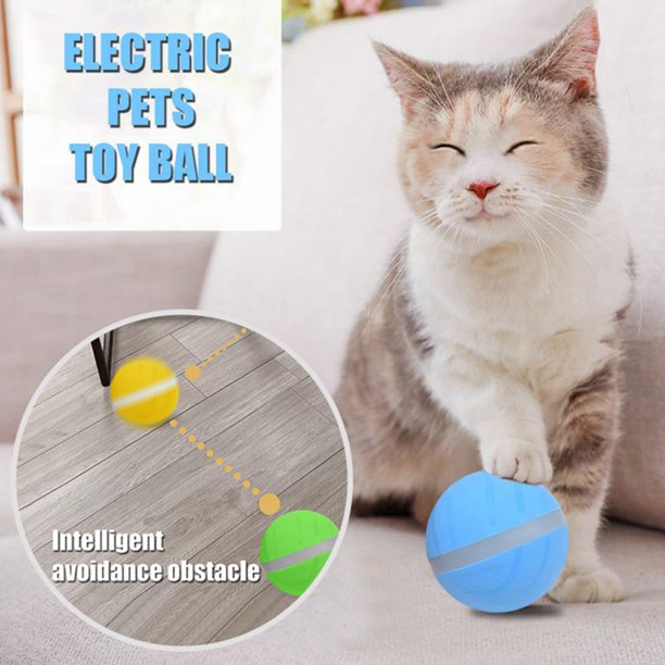 electric pet ball