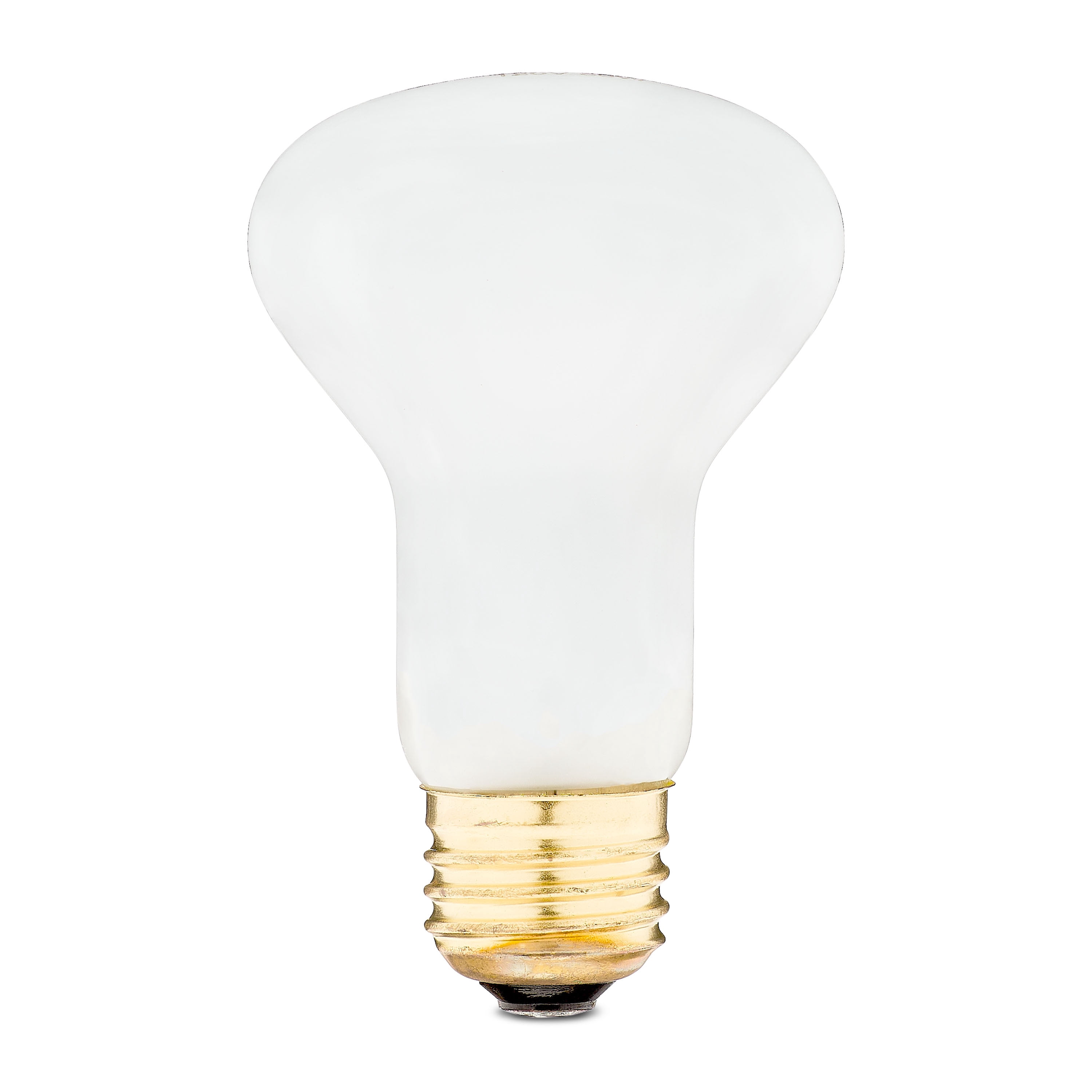 (5 pack) Vibrant Life 60W Terrarium Basking Bulb, Daylight