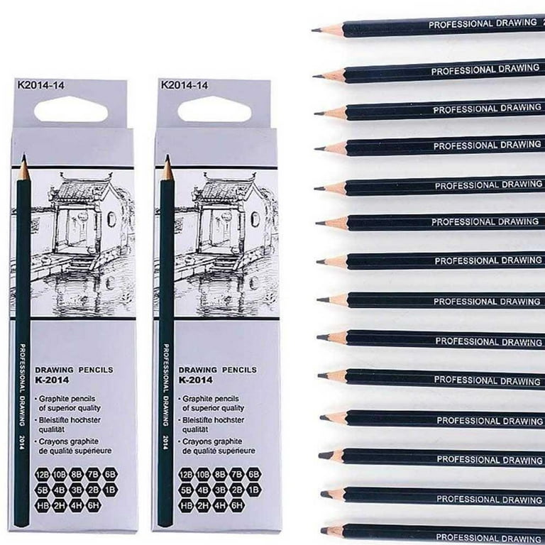 Buy Newbested 12 Drawing Pencils,Art Sketching Pencils 3H,2H,H,HB, B,2B,3B,  4B,5B,6B,8B,10B,Art Pencils Sketch Travel Set Precision Graphite Pencils  For Kid Artist,Beginners & Pro Artists With Metal box Online at  desertcartEcuador