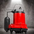 thumbnail image 2 of Red Lion RL-33C Cast Iron Sump/Effluent Pump with Snap-Action Float Switch, 1/3 hp/3420 GPH, 2 of 8