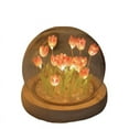 thumbnail image 3 of Paquete de material de bricolaje hecho a mano con luz de noche de tulipán, luz de ambiente de escritorio creativa, decoración, 3 of 5