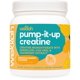 thumbnail image 1 of Suplemento de creatina Wellah Pump-It-Up 100 porciones de piña, 1 of 4