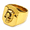 Gold, variant on Men's Skull Signet Ring, Stainless Steel Gothic Biker Ring, Sizes 7-13, Gift for Him