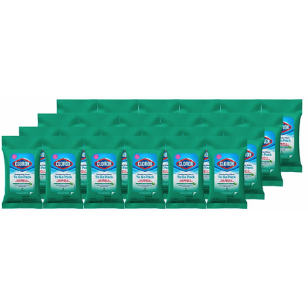 Clorox Disinfecting On The Go Travel Wipes, Fresh Scent, 9 Count, Pack of 24 (Package May Vary)