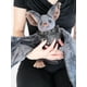 thumbnail image 3 of Bat Doll Plush Doll Holiday Gift, 3 of 4