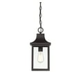 thumbnail image 3 of Trade Winds Weston 1-Light Outdoor Hanging Lantern in Oil Rubbed Bronze, 3 of 6