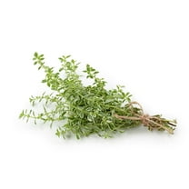 Orange Thyme Orangelo Thymus frangrantissismus Herb Premium Seeds for Planting Packet