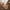 Brown, variant on DondPO Bras for Women Thin One Underwear for Women with Small Breasts Gathered and To Sagging and Collect Breasts No Breathable Bra Everyday Bras No Wire Bras for Women Black L Clearance！