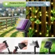 thumbnail image 3 of Guirnalda de 50 luces LED solares para exterior, guirnalda de luces con diseño de flor de cerezo, 50 LED, 2 modos, impermeable, para jardín, patio, Navidad, decoración de interiores, blanco cálido [Cl, 3 of 5