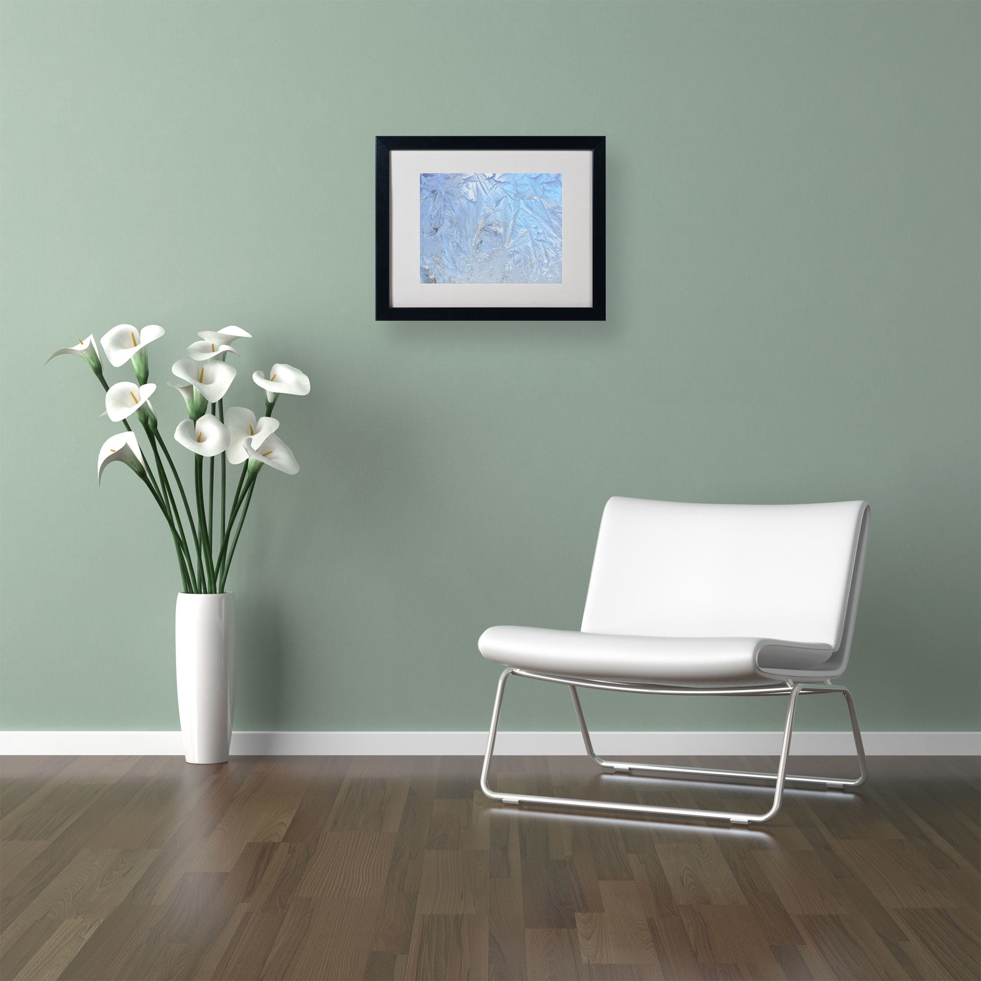 Trademark Fine Art "Frost Pattern 3" Canvas Art by Kurt Shaffer, Black Frame