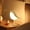 B, variant on FNYOXU Night Light, Originality Magpie Aromatherapy Led Car Decorative Light Bedroom Bed Bird Night Light Charging Contact Vibes Lamp