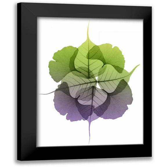 Koetsier, Albert 12x14 Black Modern Framed Museum Art Print Titled - Kaleidoscope Sinko 2