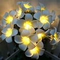 thumbnail image 3 of Floral Light, LED Light Decor Waterproof Vivid Design Battery Powered Gentle Lighting Ideal Present  For Room, 3 of 7