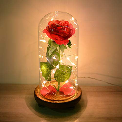 Beauty and The Beast Rose Mother Gift for Mom Women Rose Flowers Light in Glass for Wedding Anniversary Home Office Decorations 