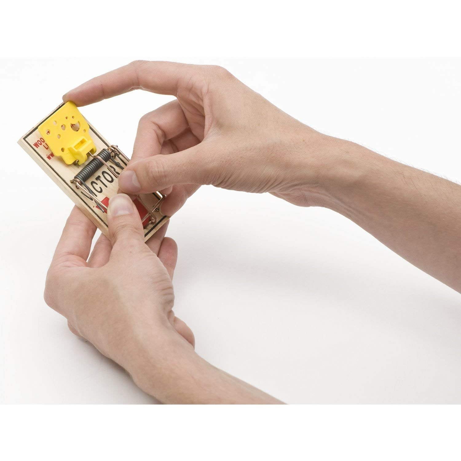 Set victor mouse trap deals