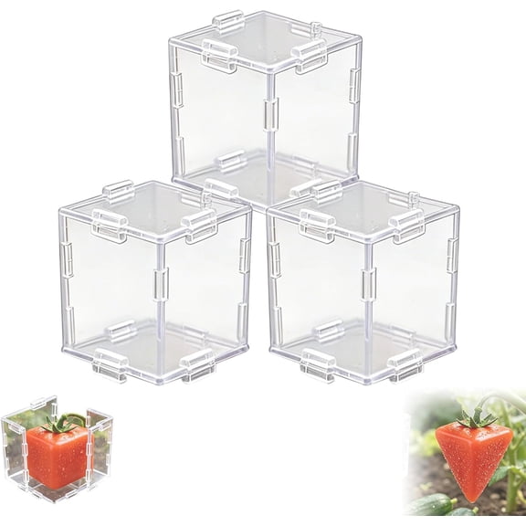 Fruit Shaping Mold, Cubic Plastic Growing Forms for Garden, 3pc