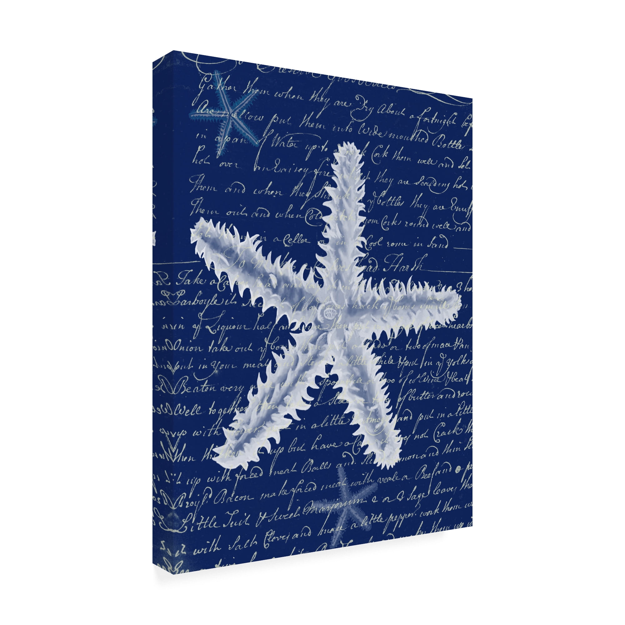 Trademark Fine Art 'White Starfish On Blue B' Canvas Art by Fab Funky