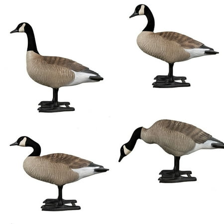 Big Foot B2 Canada Goose Variety Fully Flocked Decoys 4 Pack