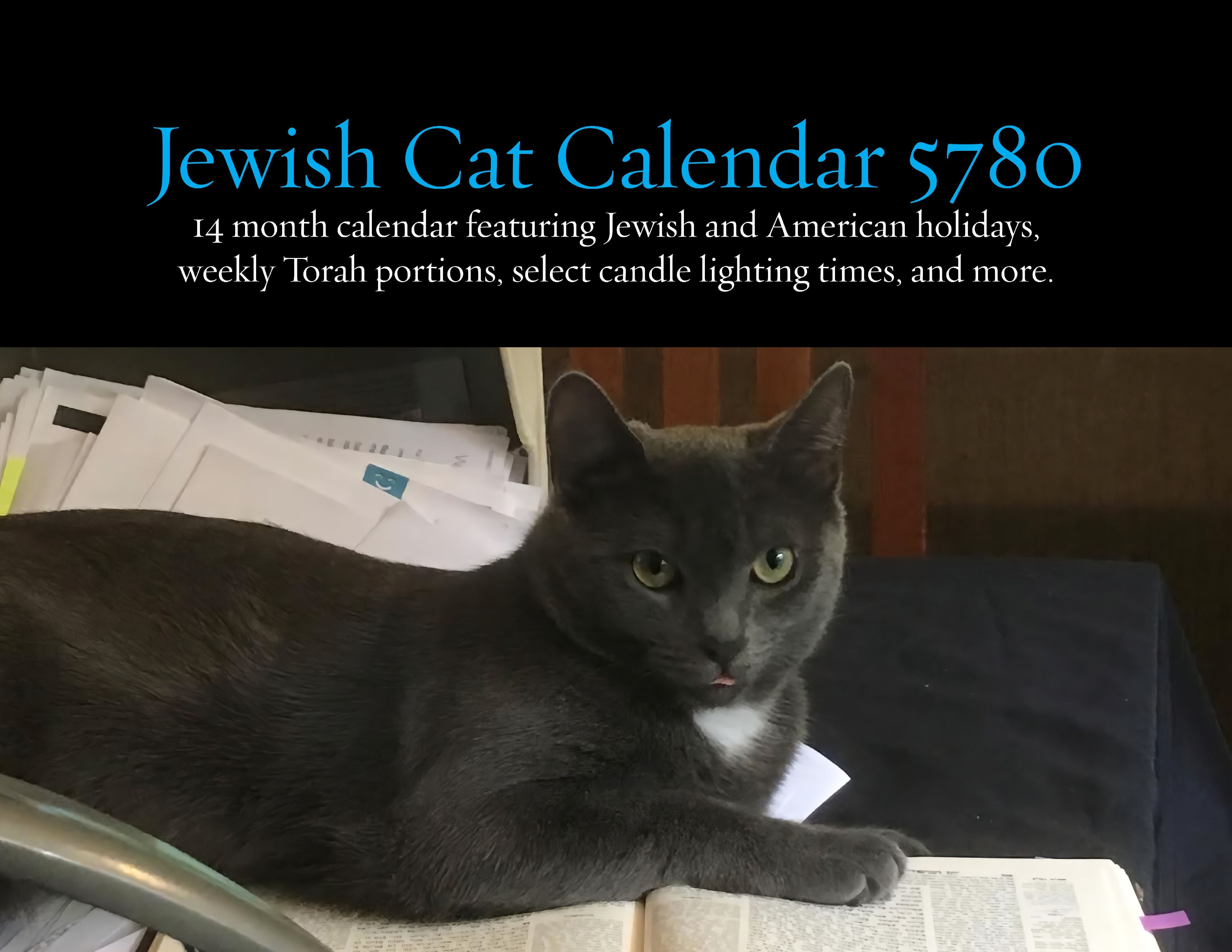 Jewish Cats Calendar 5780 14 Month 2018/2019 Calendar Featuring Jewish