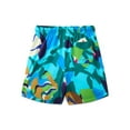 thumbnail image 3 of Wonder Nation Baby and Toddler Quick- Dry Swim Trunk, Sizes 12M-5T, 3 of 3