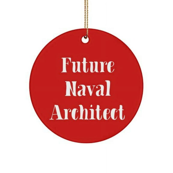 Funny Naval Architect Gifts, Future Naval Architect, Gag Christmas Circle Ornament Gifts for Men Women