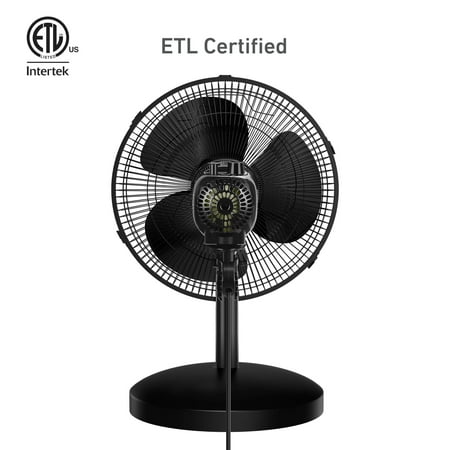 Holmes 12 Table Fan