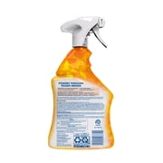 Lysol Brand New Day All Purpose Cleaner Mango & Hibiscus, Deep Clean 32 fl oz