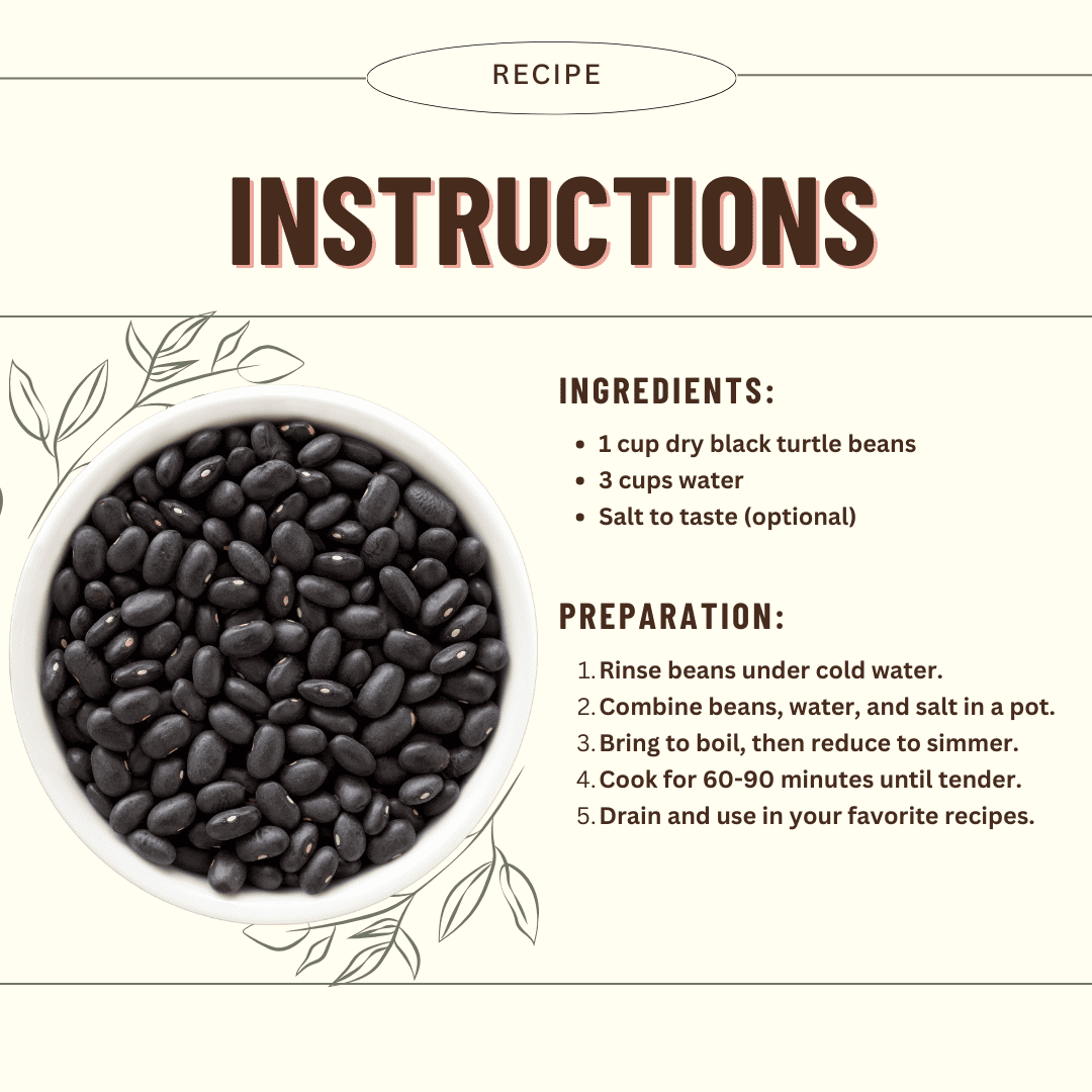 Black Bean Turtle, 40LB Emergency Bucket, USA Grown, USDA Certified Organic & GMO Free, Sustainable Farming Practices-Mountain High Organics