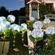 thumbnail image 1 of Luces solares para jardín al aire libre, luz solar decorativa para jardín, fiesta, pasarela, patio, boda, luz solar, 1 of 9