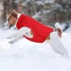 thumbnail image 5 of 6 Pzas Chaleco De Forro Polar Para Perros Suéter Para Perros, 5 of 7