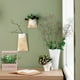 thumbnail image 4 of Flores falsas, suculentas de simulación, plantas en macetas, adornos creativos de moda, flores, plantas verdes artificiales, 4 of 5