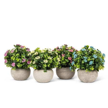 Set of 12 Low Flowering Plant Pot