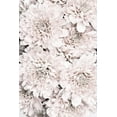 thumbnail image 2 of 1x Studio III 17x24 Black Ornate Wood Framed with Double Matting Museum Art Print Titled - Chrysanthemum No 09, 2 of 4