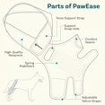 thumbnail image 2 of Rodillera PetCove para perro, para desgarro del ligamento cruzado anterior, pata trasera, talla mediana, 2 of 7